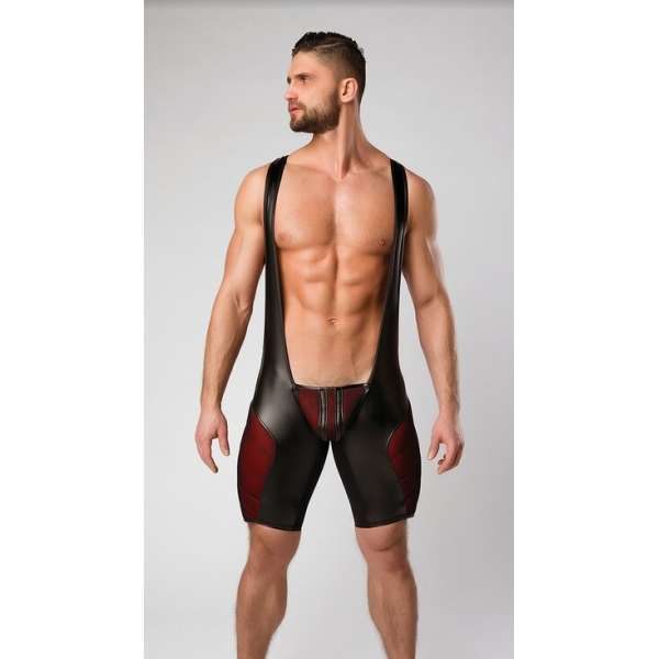 Wrestler Body